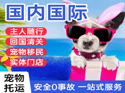 包头机场快运国际宠物托运 【国